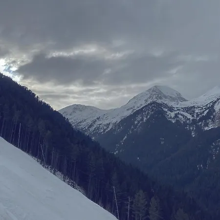 Cedar Next To Lift One Bedroom * Bansko