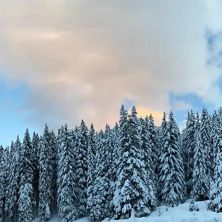 Cedar Next To Lift One Bedroom Daire