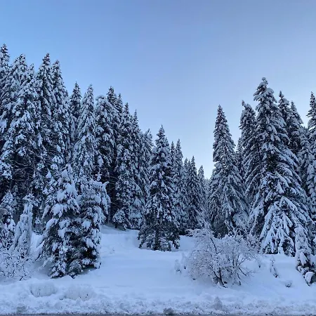 Cedar Next To Lift One Bedroom Appartement *