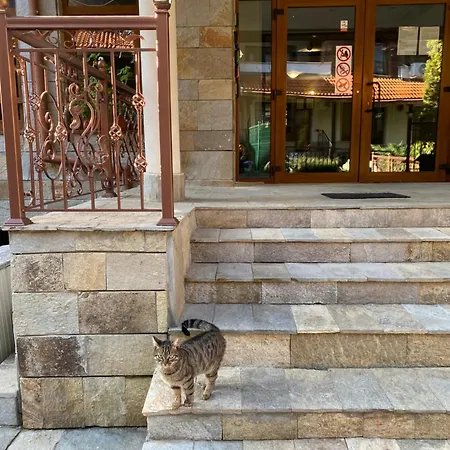 Appartement Cedar Next To Lift One Bedroom Bansko