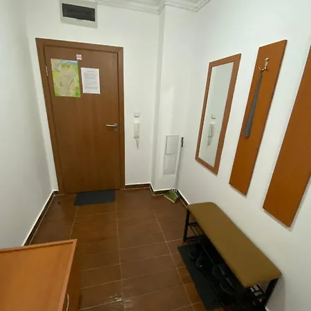 Cedar Next To Lift One Bedroom Bansko