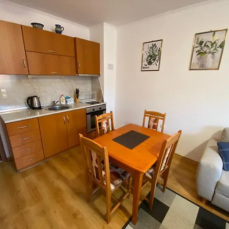 Apartment Cedar Next To Lift One Bedroom Bansko