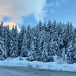 Cedar Next To Lift One Bedroom Bansko