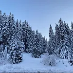 Cedar Next To Lift One Bedroom Appartement *