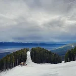 Cedar Next To Lift One Bedroom Bansko