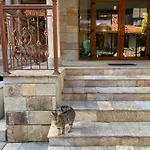 Appartement Cedar Next To Lift One Bedroom Bansko