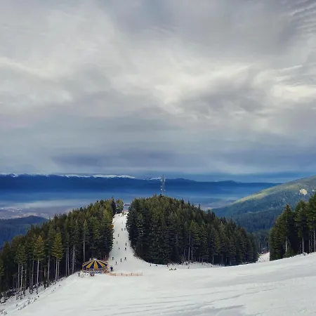 Cedar Next To Lift One Bedroom Bansko